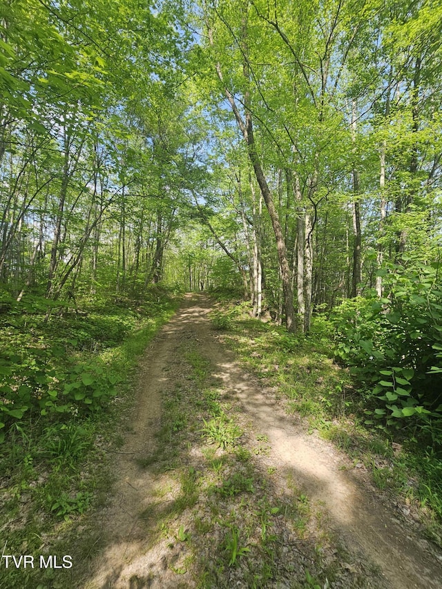1097 Peter Pan Rd, Big Rock, VA 24603