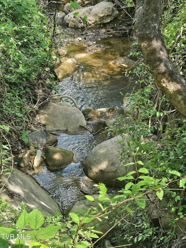 1097 Peter Pan Rd, Big Rock, VA 24603