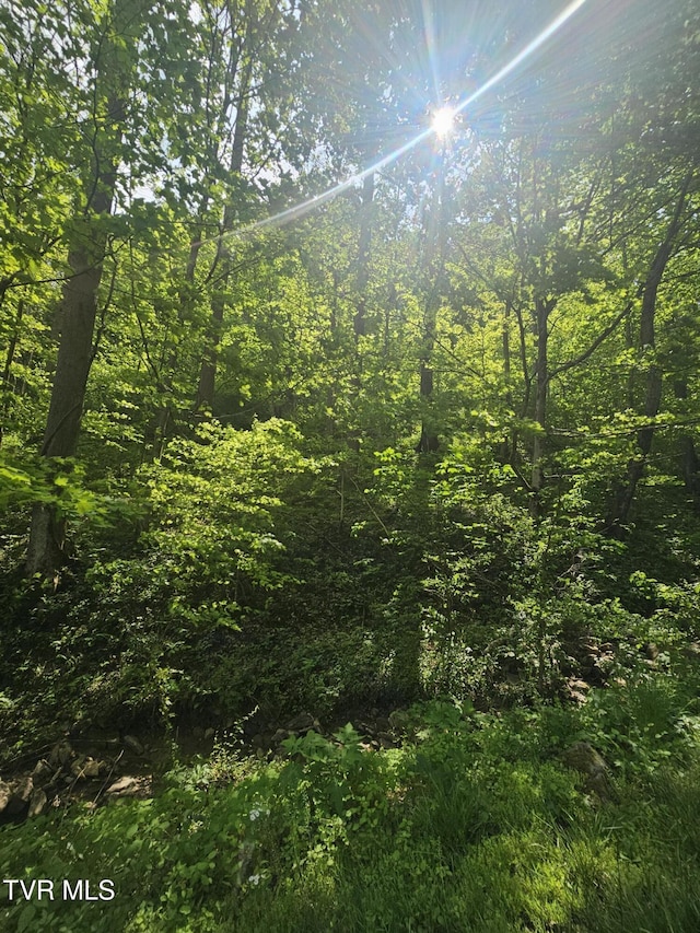 1097 Peter Pan Rd, Big Rock, VA 24603