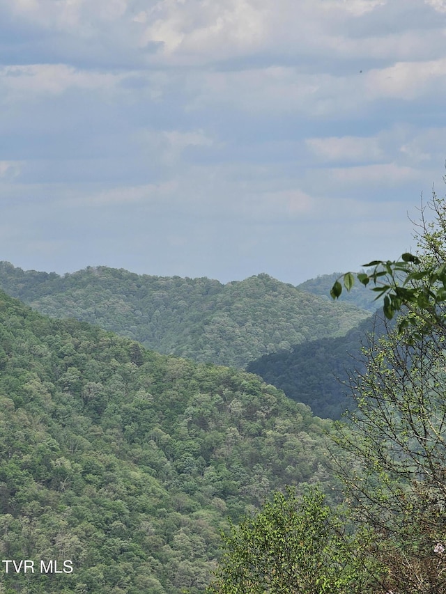 1097 Peter Pan Rd, Big Rock, VA 24603