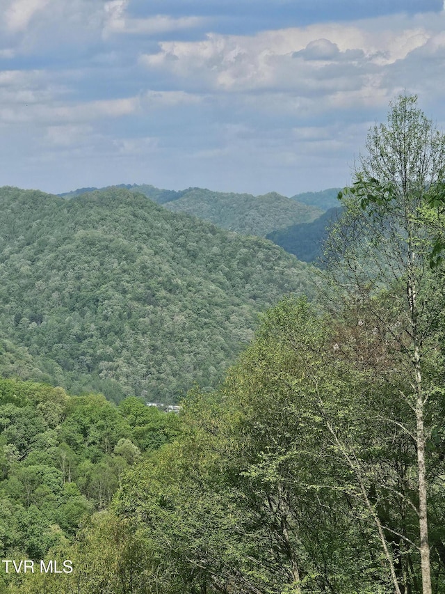 1097 Peter Pan Rd, Big Rock, VA 24603
