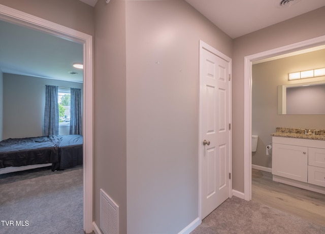 116 Weeping Willow Dr Unit 116, Abingdon, VA 24210 - hall with light colored carpet, a sink, and baseboards