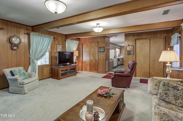 600 Valley Ave, Erwin, TN 37650 - living area featuring carpet flooring, wood walls, beam ceiling, and visible vents