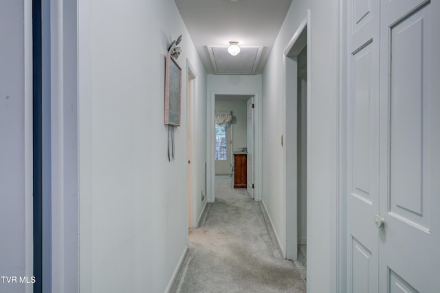 600 Valley Ave, Erwin, TN 37650 - hallway featuring baseboards, light carpet, and attic access