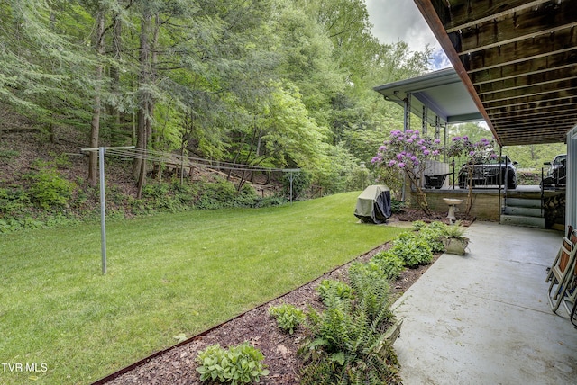 600 Valley Ave, Erwin, TN 37650 - view of yard with a patio area