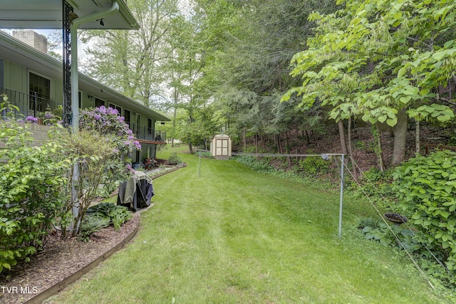 600 Valley Ave, Erwin, TN 37650 - view of yard featuring an outdoor structure and a storage unit