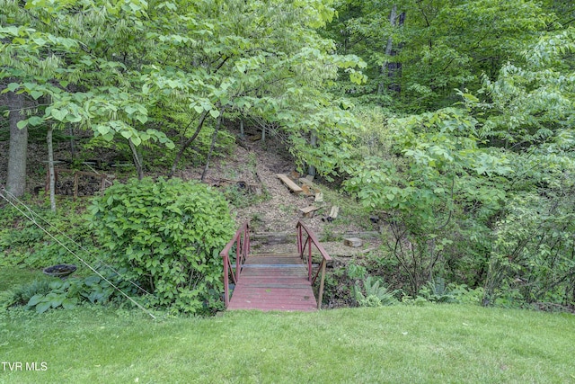600 Valley Ave, Erwin, TN 37650 - view of yard