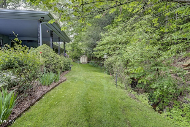 600 Valley Ave, Erwin, TN 37650 - view of yard with a storage shed and an outbuilding