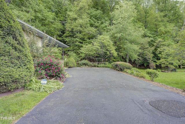 600 Valley Ave, Erwin, TN 37650 - exterior space with a forest view and driveway