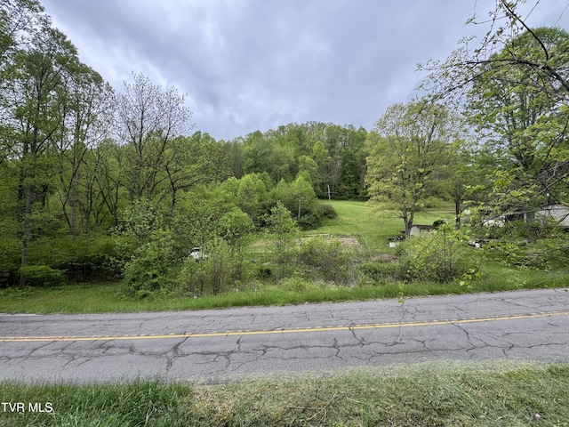 7311 Rocky Fork Rd, Wise, VA 24293 - view of road with a wooded view