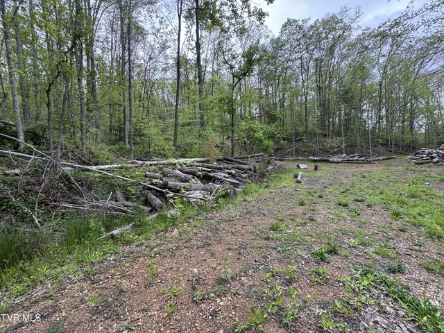 7311 Rocky Fork Rd, Wise, VA 24293 - view of yard
