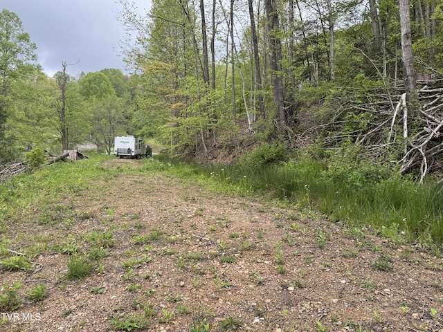 7311 Rocky Fork Rd, Wise, VA 24293 - view of yard with a wooded view