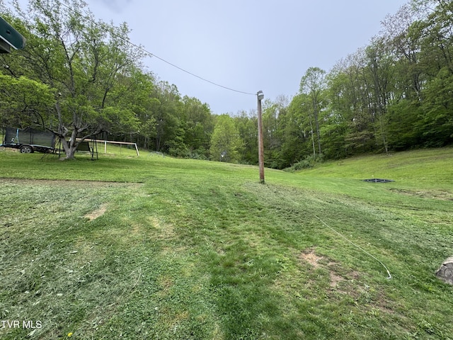 7311 Rocky Fork Rd, Wise, VA 24293 - view of yard