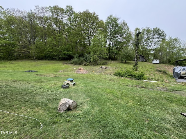 7311 Rocky Fork Rd, Wise, VA 24293 - view of yard