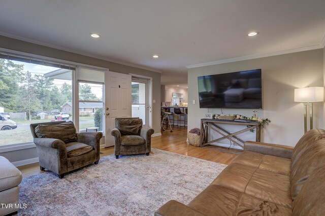 2405 Larkspur Dr, Johnson City, TN 37604 - living area with crown molding, wood finished floors, baseboards, and recessed lighting