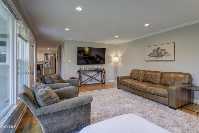 2405 Larkspur Dr, Johnson City, TN 37604 - living area with crown molding, baseboards, and recessed lighting