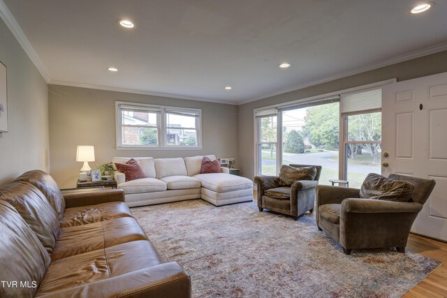 2405 Larkspur Dr, Johnson City, TN 37604 - living area featuring wood finished floors, ornamental molding, and recessed lighting