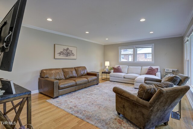 2405 Larkspur Dr, Johnson City, TN 37604 - living area featuring light wood finished floors, ornamental molding, baseboards, and recessed lighting