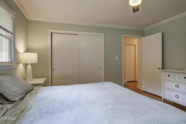 2405 Larkspur Dr, Johnson City, TN 37604 - bedroom with ceiling fan, a closet, wood finished floors, and ornamental molding