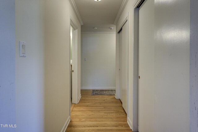 2405 Larkspur Dr, Johnson City, TN 37604 - hallway featuring ornamental molding, baseboards, and light wood-style floors