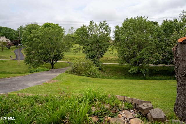 1583 Rock Springs Rd, Kingsport, TN 37664 - photo 11