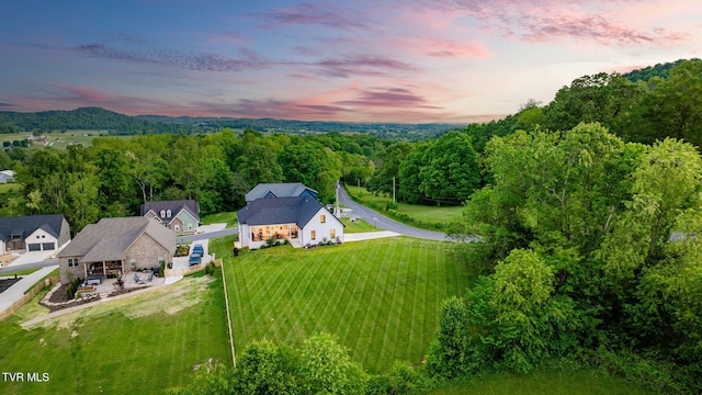 aerial view at dusk of a wooded view