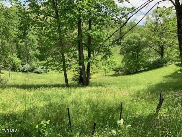 1478 Bellamy Tipton Rd, Gate City, VA 24251 - photo 1