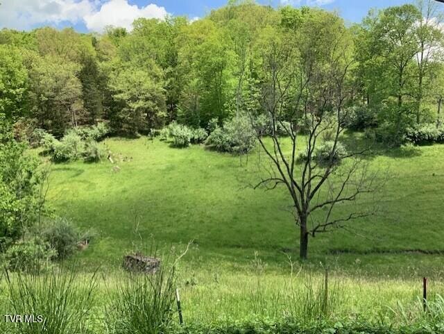 1478 Bellamy Tipton Rd, Gate City, VA 24251 - photo 2