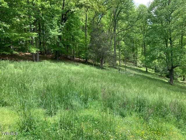 1478 Bellamy Tipton Rd, Gate City, VA 24251 - photo 5