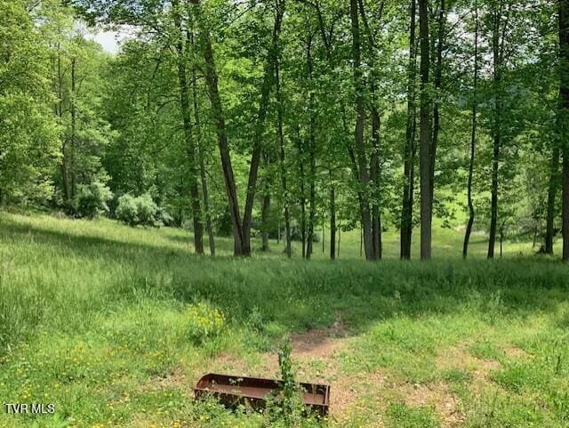 1478 Bellamy Tipton Rd, Gate City, VA 24251 - photo 6