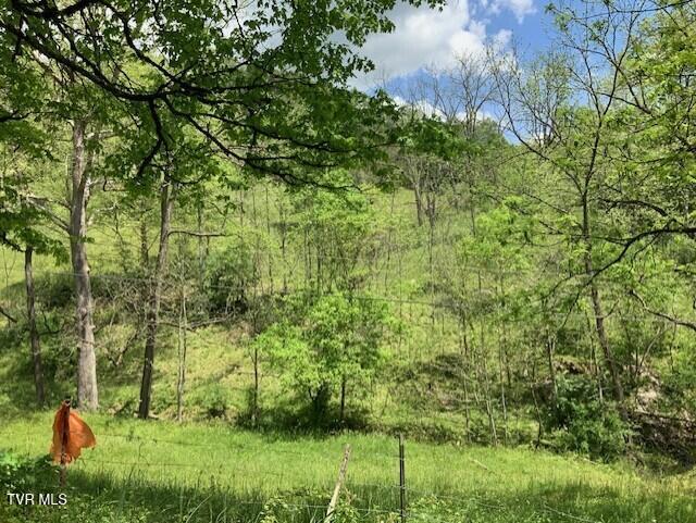1478 Bellamy Tipton Rd, Gate City, VA 24251 - photo 10