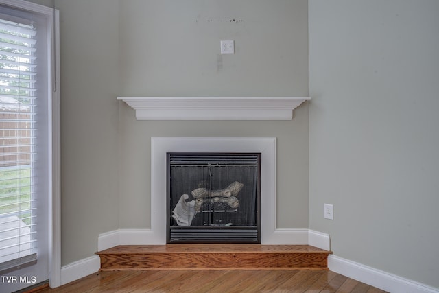 575 Boring Chapel Rd Unit 31, Johnson City, TN 37615 - details featuring baseboards, wood finished floors, and a fireplace