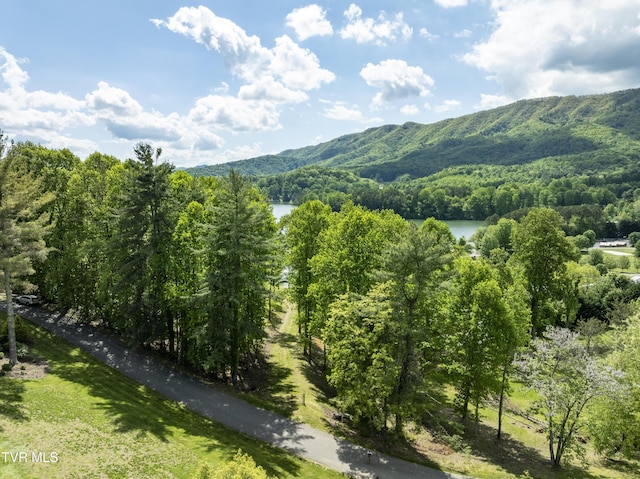 TBD Big Oak Dr, Butler, TN 37640