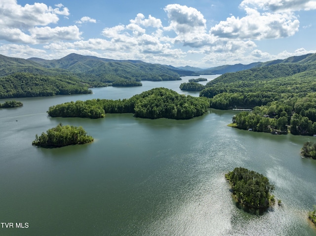 TBD Big Oak Dr, Butler, TN 37640