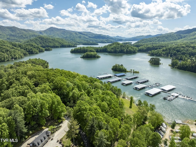 TBD Big Oak Dr, Butler, TN 37640