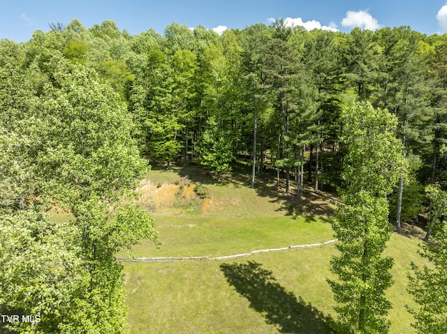 TBD Big Oak Dr, Butler, TN 37640