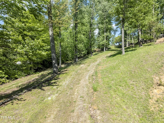 TBD Big Oak Dr, Butler, TN 37640