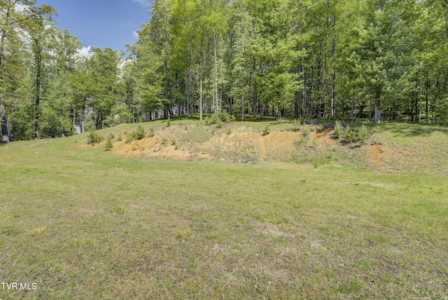 TBD Big Oak Dr, Butler, TN 37640