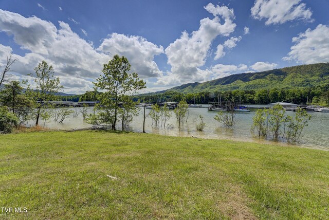 TBD Big Oak Dr, Butler, TN 37640