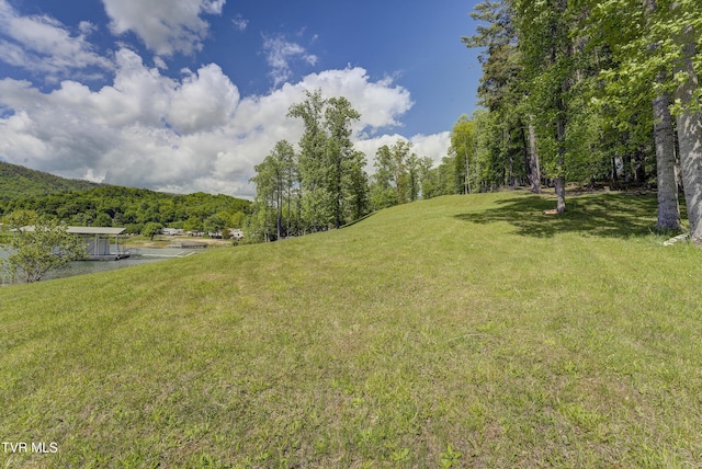 TBD Big Oak Dr, Butler, TN 37640