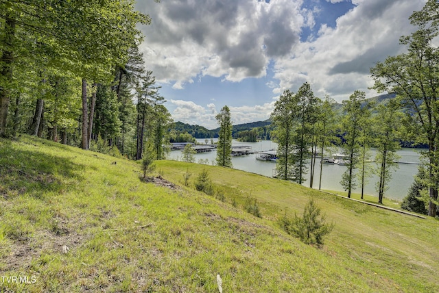 TBD Big Oak Dr, Butler, TN 37640