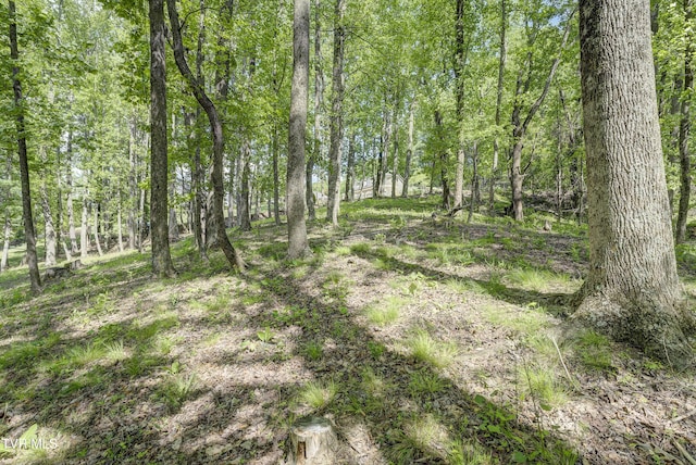 TBD Big Oak Dr, Butler, TN 37640