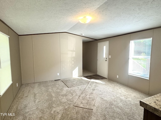 236 Redwood Dr, Raven, VA 24639 - carpeted spare room with lofted ceiling and a textured ceiling