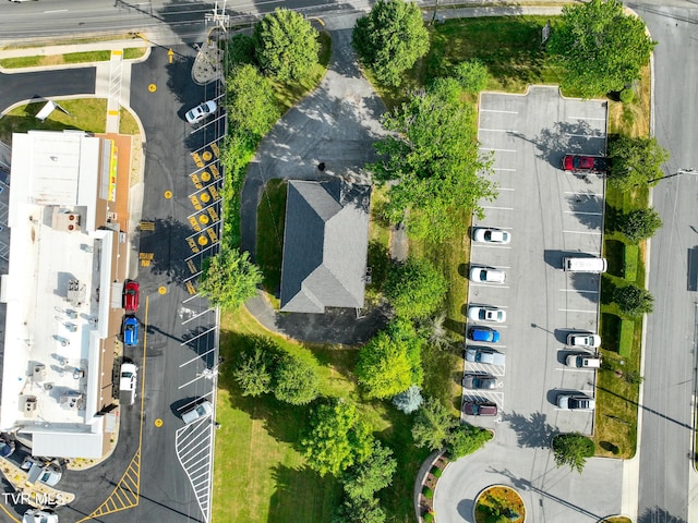 drone / aerial view