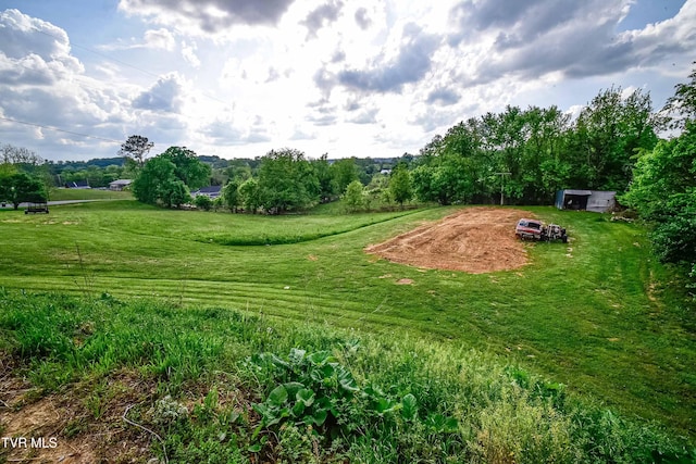 132 Hankal Rd, Gray, TN 37615 - view of yard with a shed and an outbuilding