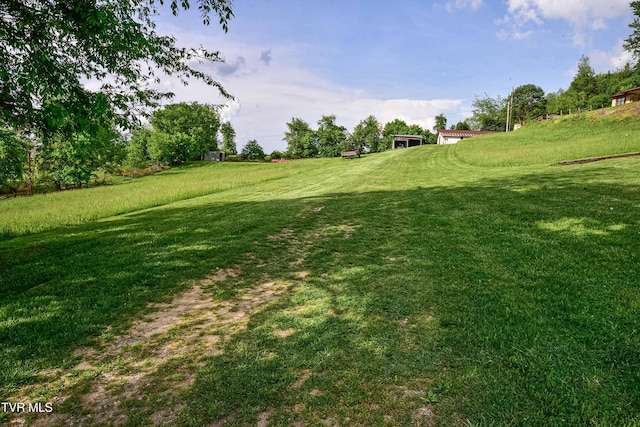 132 Hankal Rd, Gray, TN 37615 - view of yard