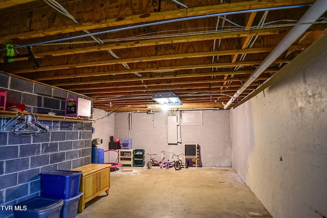 132 Hankal Rd, Gray, TN 37615 - unfinished below grade area with electric panel