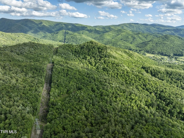 TBD Blaine White Rd, Erwin, TN 37650 - photo 17