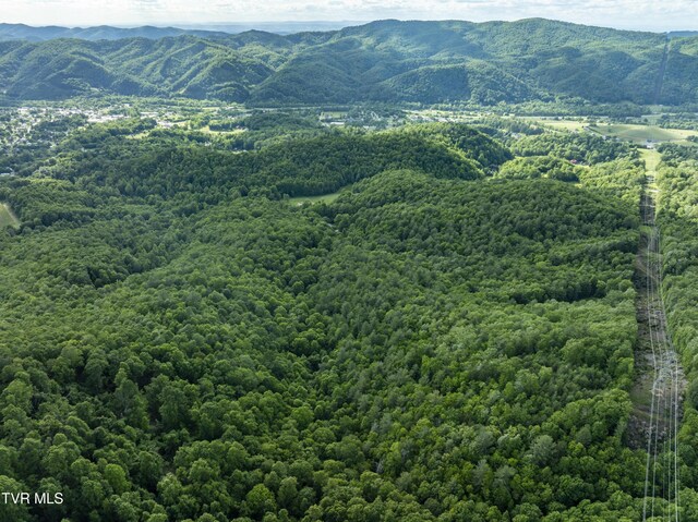 TBD Blaine White Rd, Erwin, TN 37650 - photo 20