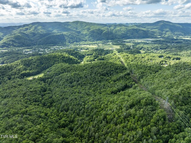 TBD Blaine White Rd, Erwin, TN 37650 - photo 4